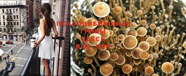 кокаин колумбия Михайловка