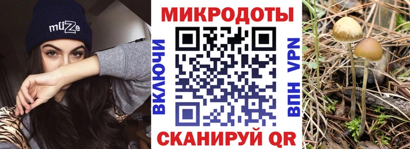 Галлюциногенные грибы Magic Shrooms  Покровск 